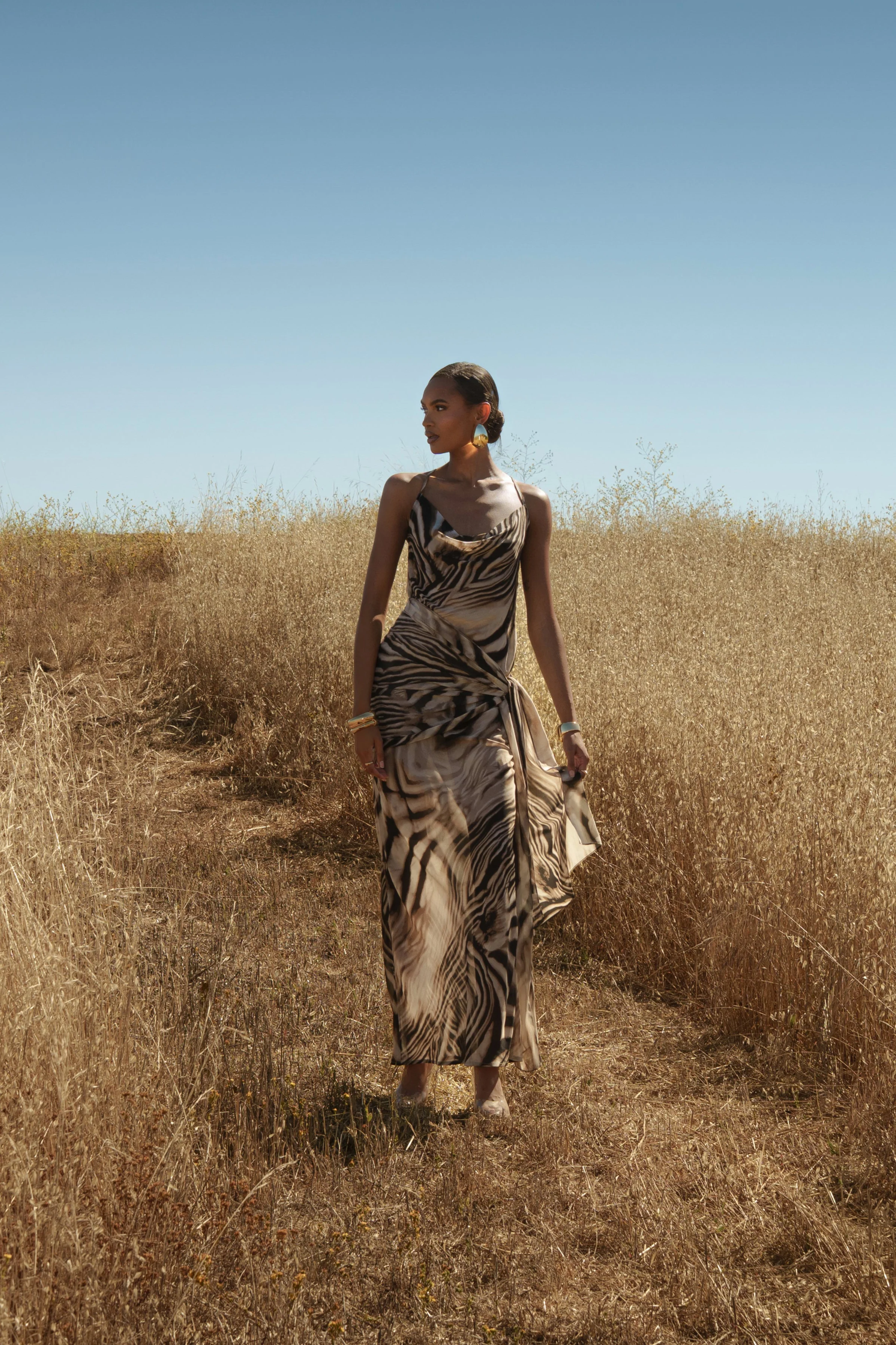 Brown Zebra Print Infinite Journey Maxi Dress - Image 10