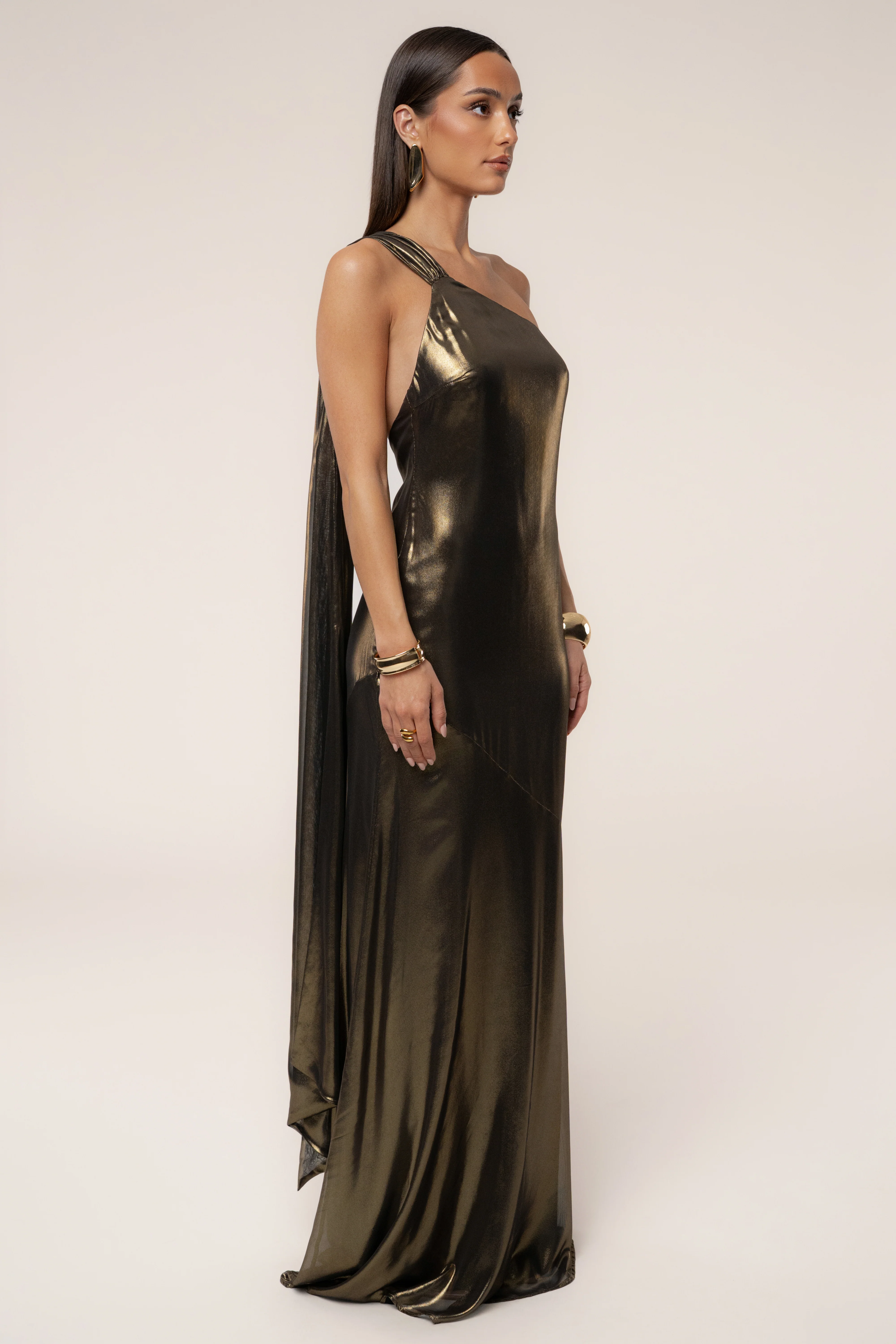 Gold Night Of Elegance Maxi Gown - Image 11