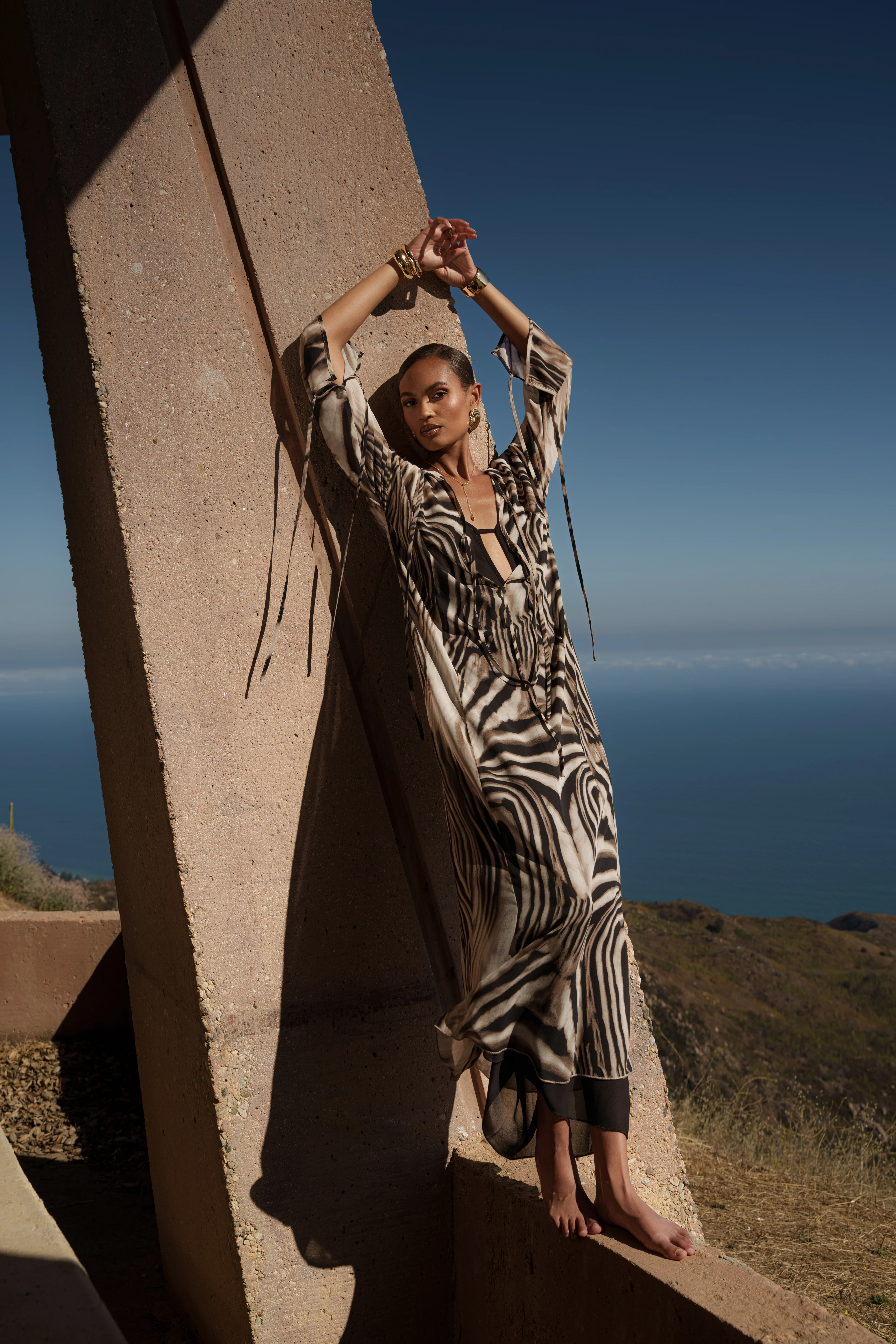 Brown Zebra Print New Vista Maxi Dress - Image 3