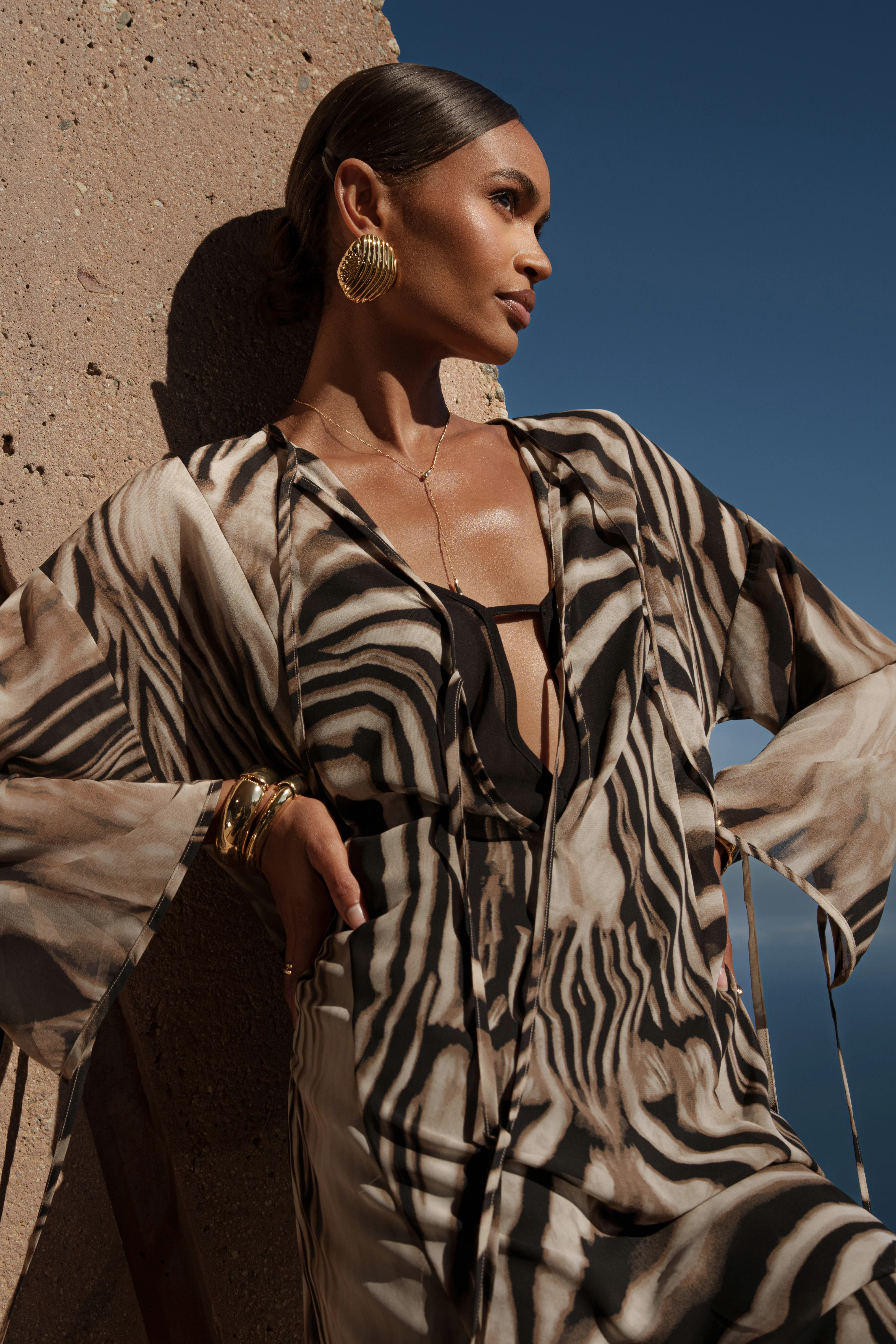 Brown Zebra Print New Vista Maxi Dress - Image 4